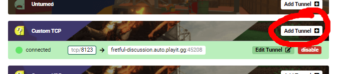 playit custom tcp tunnel